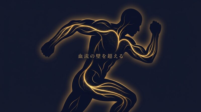 アスリートの体を流れる血管のゴールドラインアート。血流の壁を超えるイメージ