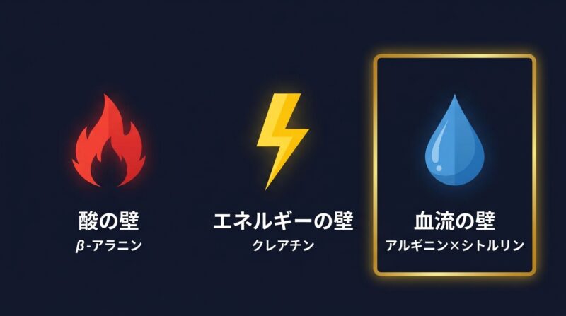 酸の壁βアラニン、エネルギーの壁クレアチン、血流の壁アルギニン×シトルリンの3つの比較図解