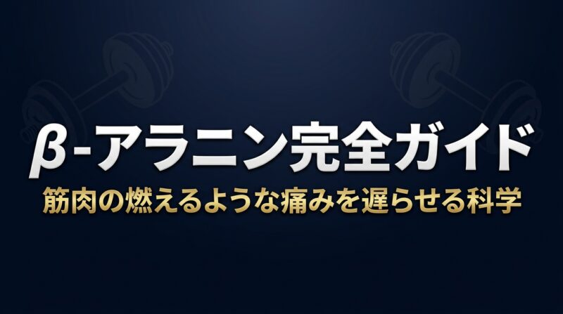 β-アラニン完全ガイド 筋肉の燃えるような痛みを遅らせる科学