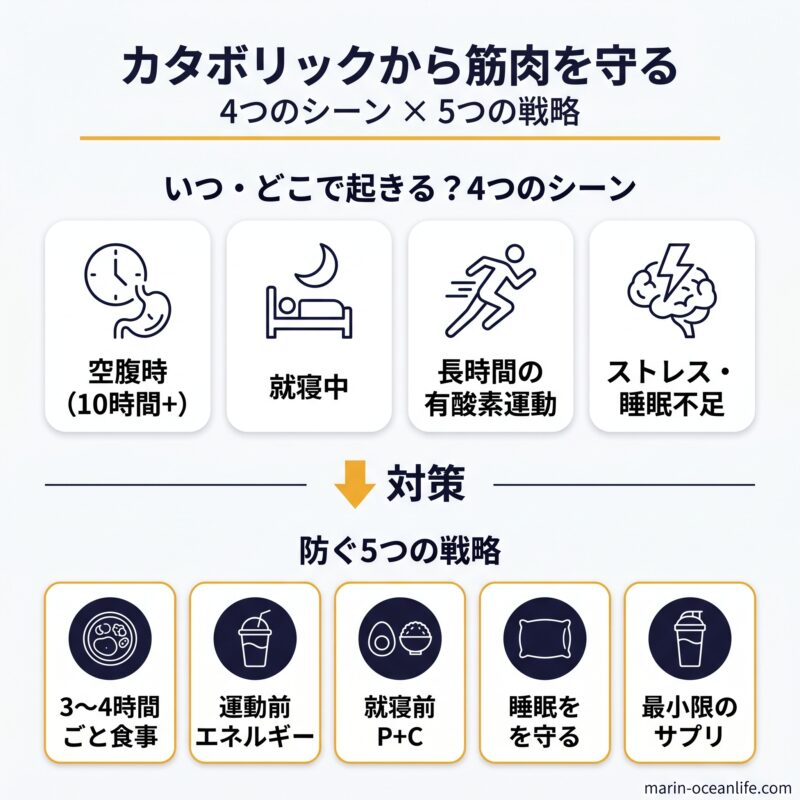 カタボリックが起きる4つのシーンと防ぐ5つの戦略を視覚化した図解