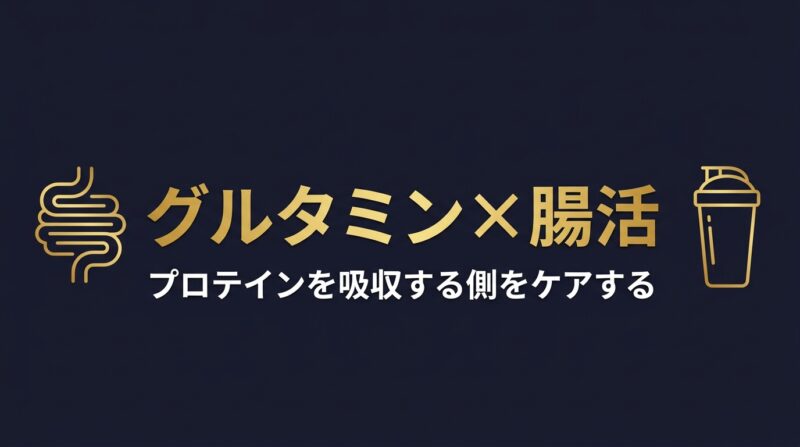 グルタミンと腸活アスリートのアイキャッチ画像。プロテインを吸収する側をケアする