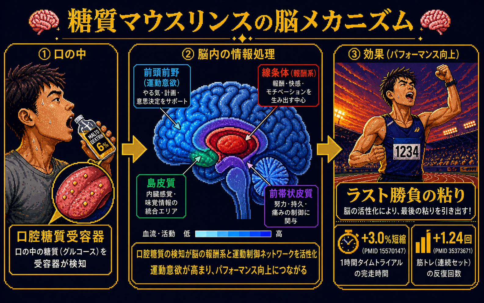 糖質マウスリンスの脳メカニズム図解：口腔糖質受容器がグルコースを検知し、脳の線条体（報酬系）・前頭前野（運動意欲）・島皮質・前帯状皮質が活性化、ラスト勝負の粘りで+3.0%短縮（PMID 15570147）と+1.24回（PMID 35373671）