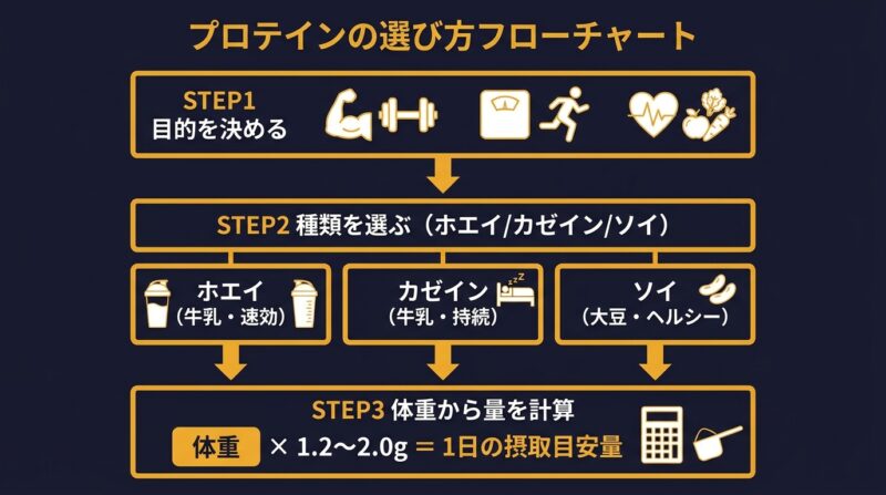 プロテインの選び方フローチャート：目的→種類→量の3ステップ