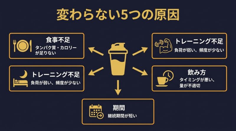 プロテインを飲んでも変わらない5つの原因の図解