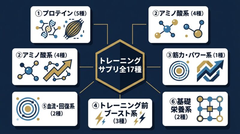 トレーニング系サプリメント6カテゴリ17種の分類インフォグラフィック