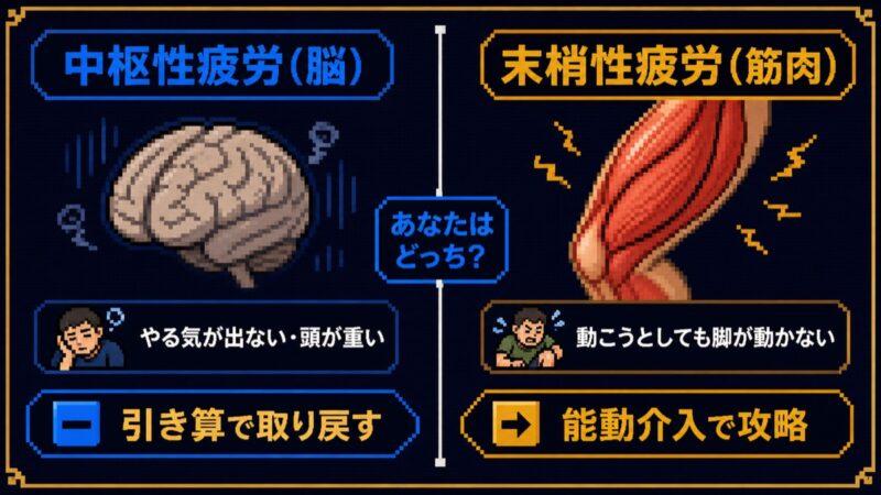 中枢性疲労脳と末梢性疲労筋肉の違いを対比した早見表ピクセルアート