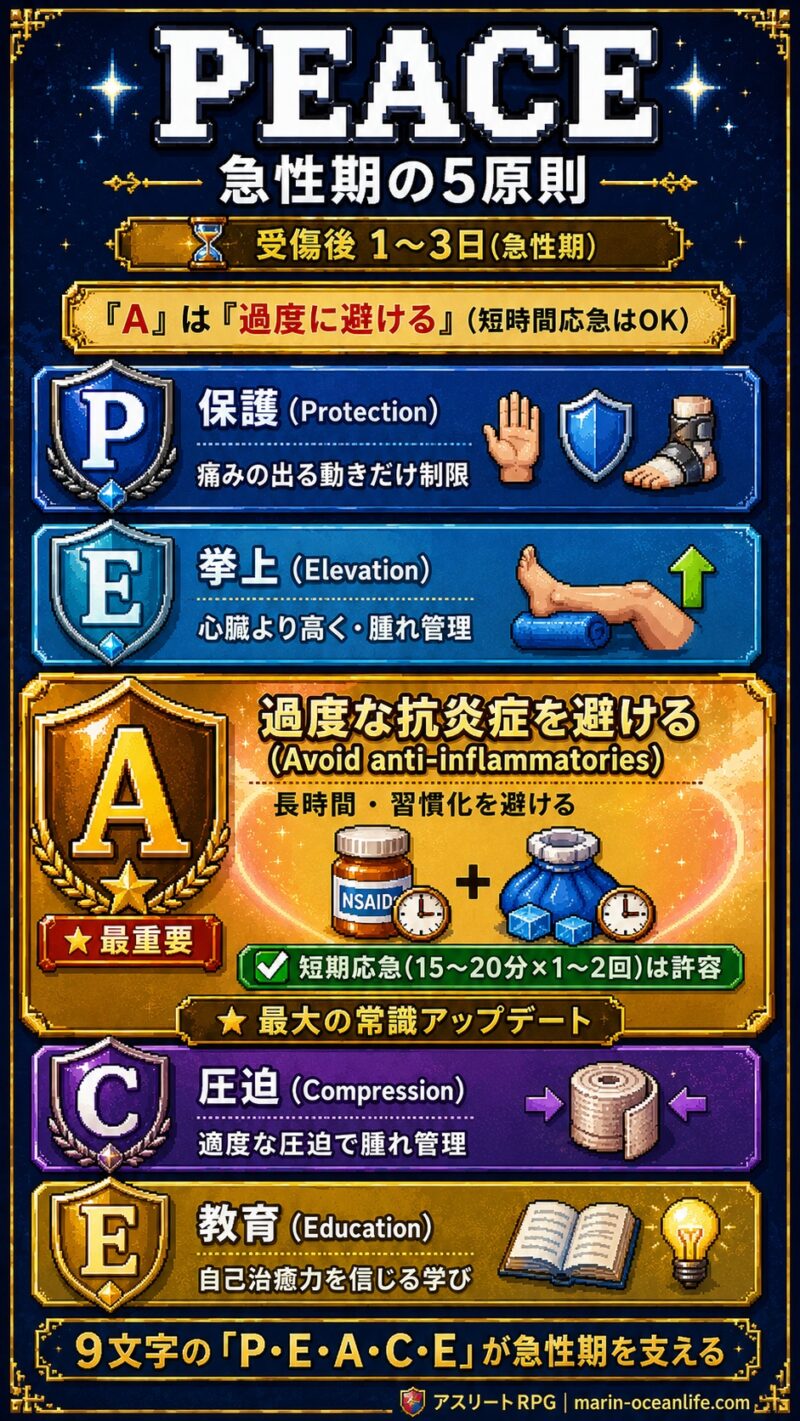 PEACE 急性期の5原則図解・P保護/E挙上/A過度な抗炎症を避ける(短期応急OK)/C圧迫/E教育
