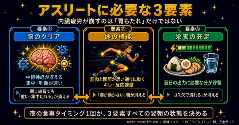 アスリートに必要な3要素(脳のクリア・体の機能・栄養の充足)構造図 — 内臓疲労が崩すのは胃もたれだけではないことを視覚化