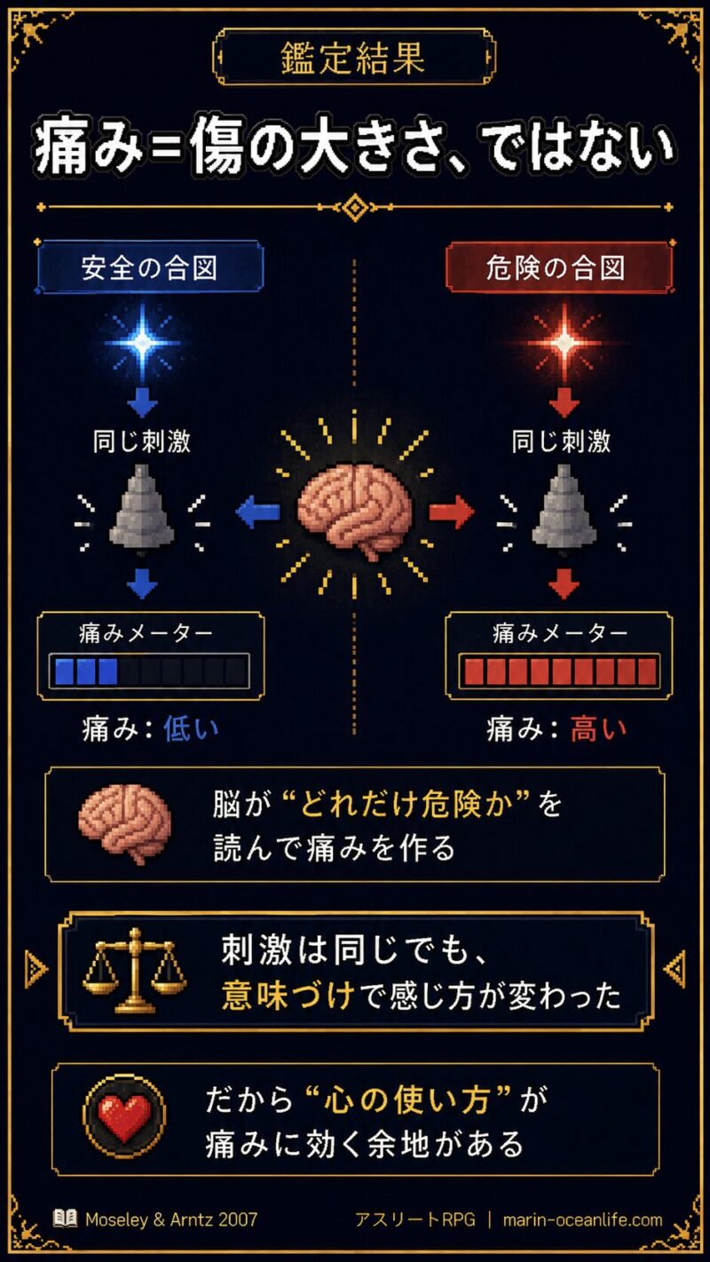 痛みは傷の大きさではなく脳が危険度を読んで作る、という図解
