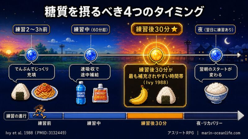 糖質摂取の4タイミング：練習2〜3h前・練習中・練習後30分・夜。練習後30分が最も補充されやすい時間帯