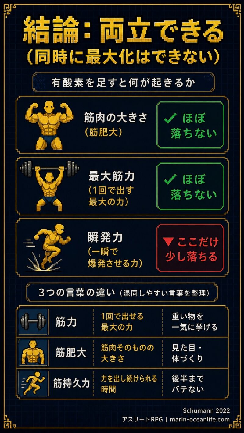 両立はできる・落ちるのは瞬発力だけ・筋力と筋肥大と筋持久力の違いを整理した図解