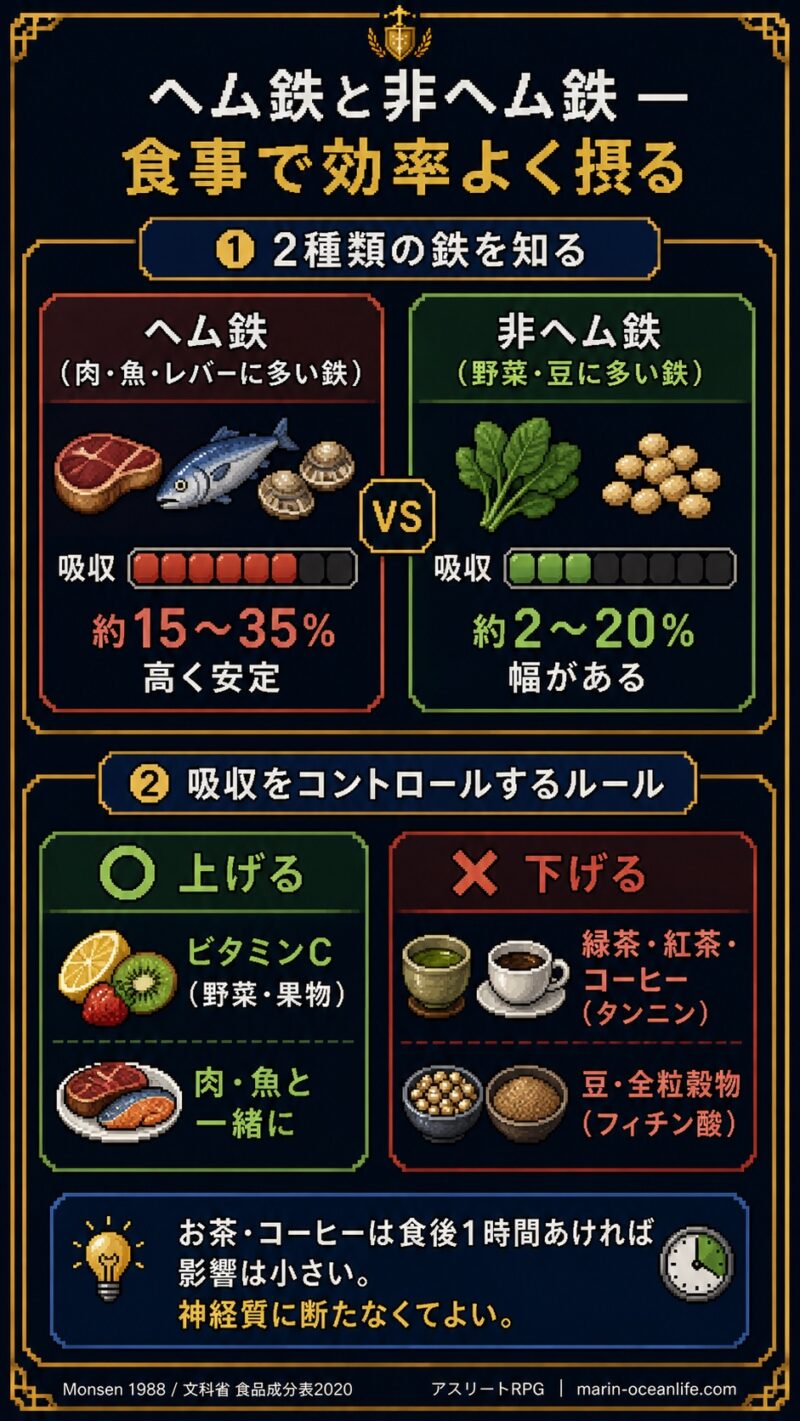 ヘム鉄と非ヘム鉄の吸収率比較と吸収を上げる下げる食べ合わせ