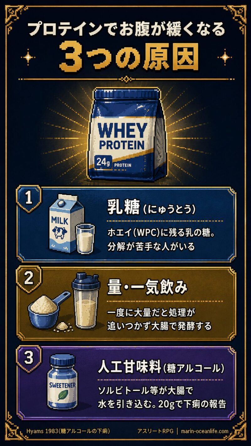 プロテインでお腹が緩くなる3つの原因。乳糖・量や一気飲み・人工甘味料の糖アルコール