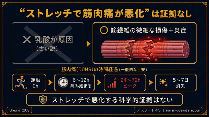 ストレッチで筋肉痛が悪化する証拠なし。筋肉痛(DOMS)の正体は筋繊維の微細な損傷＋炎症。発症6〜12h・ピーク24〜72h・消失5〜7日（Cheung 2003）