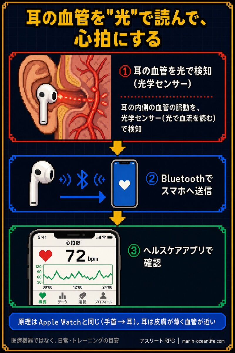 AirPods Pro 3が耳の血管の脈動を光学センサーで読み取りiPhoneのヘルスケアアプリへ送信する仕組みの図解