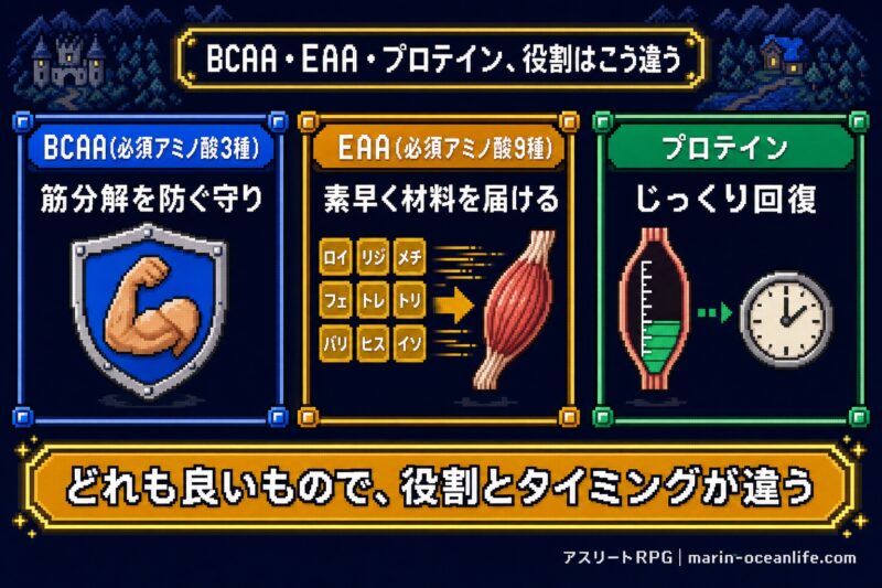 BCAAは筋分解を防ぐ守り EAAは素早く材料を届ける プロテインはじっくり回復 どれも良いもので役割とタイミングが違う