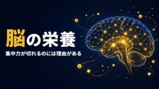【20年現役アスリート実証】脳を助けるサプリメント完全ガイド｜試合本番で頭が真っ白にならない栄養戦略