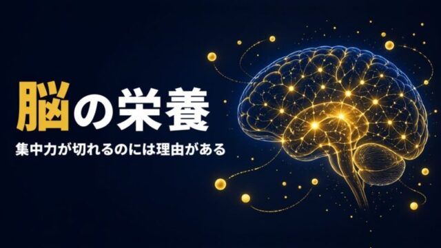 【20年現役アスリート実証】脳を助けるサプリメント完全ガイド｜試合本番で頭が真っ白にならない栄養戦略