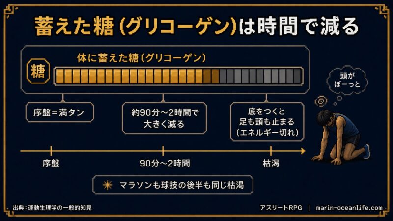 体に蓄えた糖(グリコーゲン)は時間で減り、およそ90分〜2時間で大きく減って底をつくと足も頭も止まることを示した図