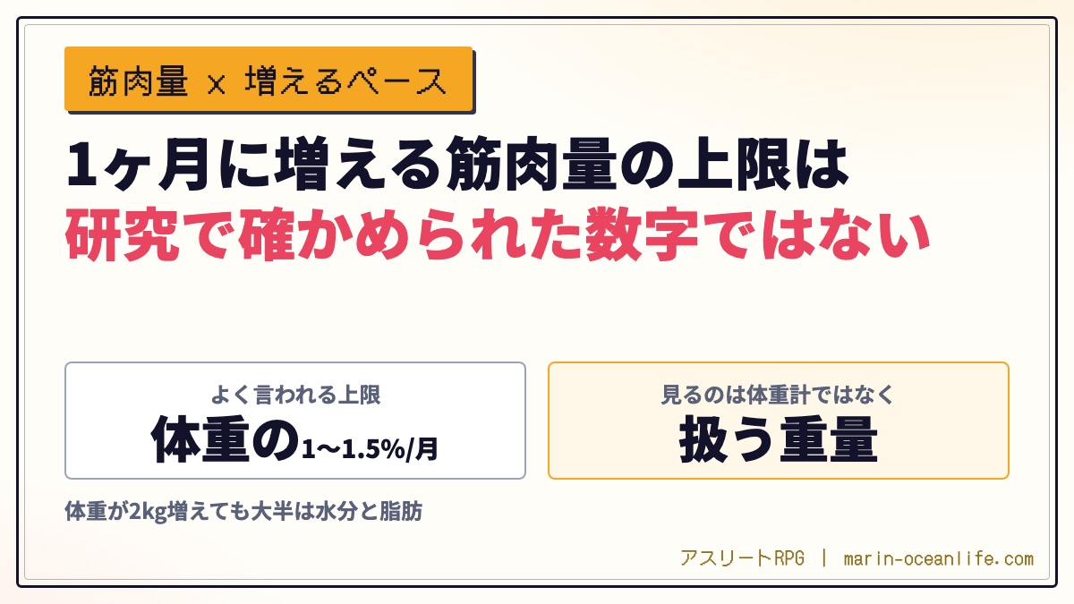 1ヶ月に増える筋肉量の正直な上限──増えた体重の何割が筋肉かを見分ける