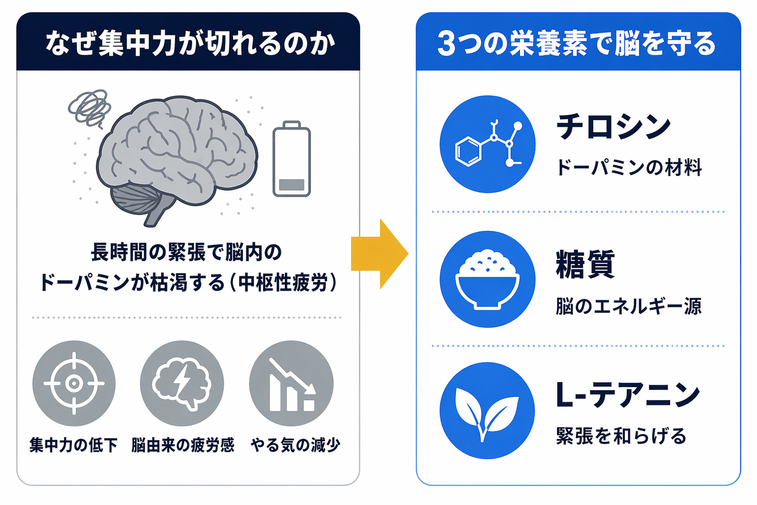 なぜ集中力が切れるのか 3つの栄養素で脳を守る